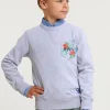 Online River Woods Fancy trui ronde hals borstzak lt grey mix -