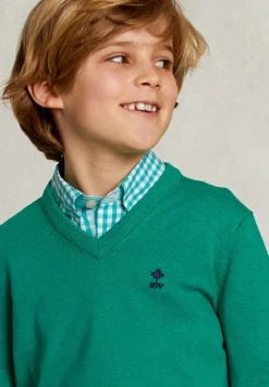 New River Woods Normal fit basic V-hals trui green twist mix -