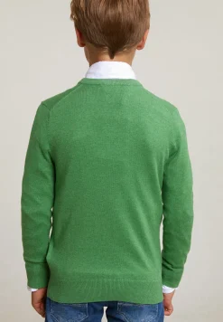 Hot River Woods Normal fit katoenen basic V-hals trui apple mix -