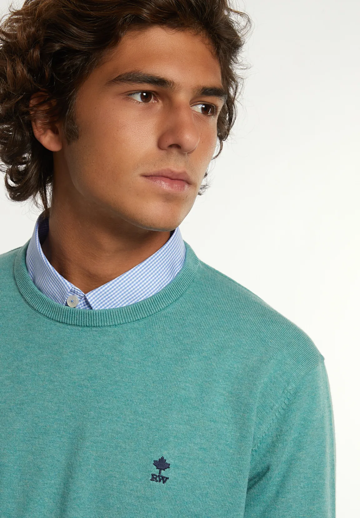 Outlet River Woods Normal fit katoenen basic trui ronde hals well mix -